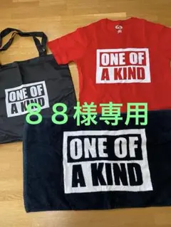 Item thumbnail for item e5c7d30d-5fe9-47e5-9a2b-2bfb7bbb8f25