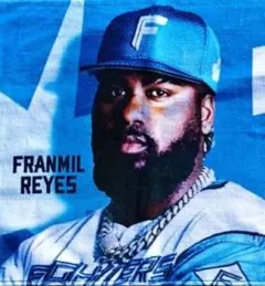 北海道日本ハムファイターズ FAVメンバー限定 レイエス選手　メッセージタオル