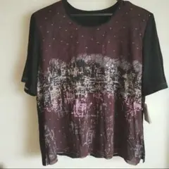 未使用品 ミゼール パワーネット使い Tシャツ トップス LLのサムネイル