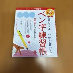 美しく正しい字が書けるペン字練習帳 和田康子のサムネイル