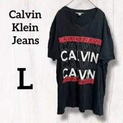 訳あり特価✦Calvin Klein Jeans 黒 Tシャツ 【L】