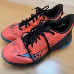 Item thumbnail for item 64f028f8-df9d-460f-8273-28f293414d7d