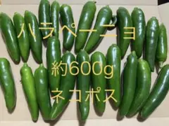 ハラペーニョ 約600g 本格激辛ハラペーニョ パラペーニョのサムネイル