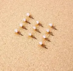 Item thumbnail for item 47a4088b-fe67-4b87-b000-fb1fd4e56837