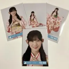 Item thumbnail for item db4d5fed-6d73-43f6-b8f3-d5ee5178d01a