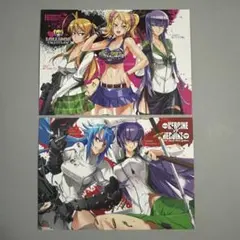 学園黙示録 HIGHSCHOOL OF THE DEAD 特典イラストカード 2026年最新】学園黙示録 特典の人気アイテム - メルカリ