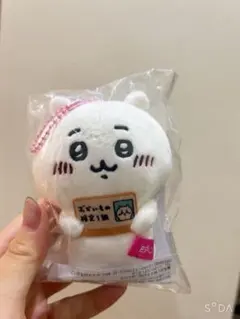 Item thumbnail for item f811efa5-2745-4673-972d-8528a42e1783