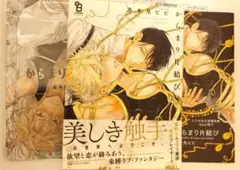 志木見 ビビ からまり片結び　各種特典付