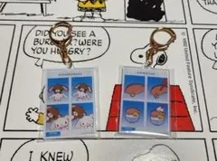 サンリオ　証明写真風キーホルダー　Vol.1