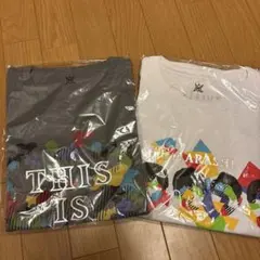 Item thumbnail for item 47cc374f-95bd-4690-9923-8e1bda7e5683