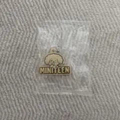 SEVENTEEN MINITEEN ぷっくりめじるしアクセサリー ドア