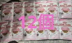 Item thumbnail for item 666f211f-5eb9-41eb-825f-03a1eee2e35d