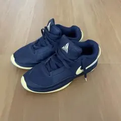 Nike JA1 ジャモラント NBA