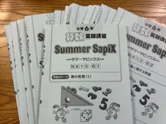 2026年最新】サピックス6年算数の人気アイテム - メルカリ