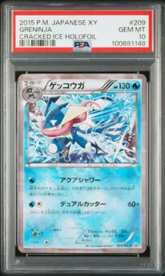 2026年最新】209/XY-P ゲッコウガの人気アイテム - メルカリ