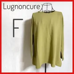 新品、タグ付き【Lugnoncure】リップルドルマンフレアプルオーバー　F