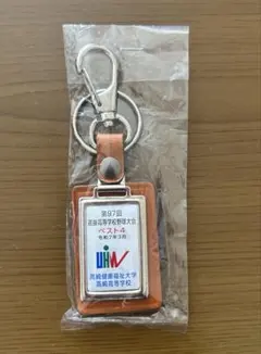 【非売品】健大高崎　甲子園97回センバツベスト4 記念キーホルダー　新品未使用品のサムネイル