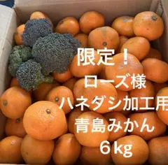 限定セール！ローズ様　ハネダシ加工用青島みかん６kg