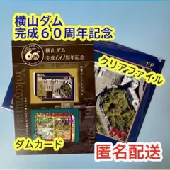 ダムカード　まとめ売り 2025年最新】ダムカード 記念の人気アイテム - メルカリ