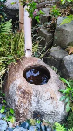 引き取り限定 庭石 - メルカリ