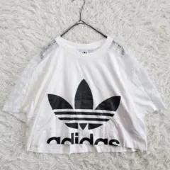 【極美品】アディダス 半袖カットソー クロップド丈 レース トレフォイルロゴ Mのサムネイル