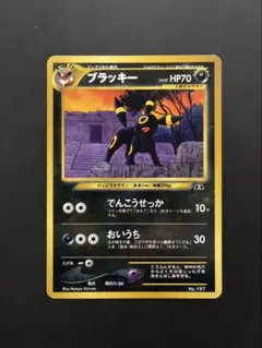 ポケモンカード ブラッキー エーフィ イーブイ プレミアムファイル 3枚セット