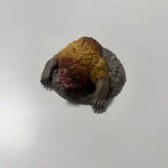 モンハン 捕獲し隊 ガチャガチャ ドシャグマ