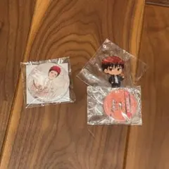 黒子のバスケ 赤司征十郎 ナンジャタウン ミニゲーム 缶バッジ アクスタ