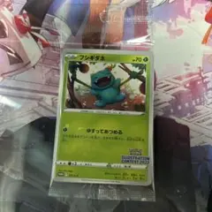 フシギダネ：Pokémon Trading Card Game イラストレーシ…