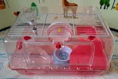 39Rep様 リクエスト 2点 まとめ商品