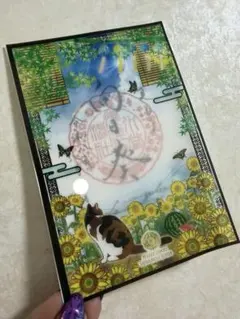 鼬幣稲荷神社 社務ねこアクリル御朱印帳 数量限定 シル シル様 猫神社