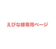 えびな様専用ページ