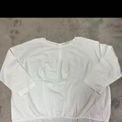 Item thumbnail for item 0f295976-cf76-4d2d-9f4d-dba8d1b6c98e