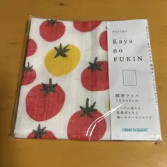 Item thumbnail for item 2a401400-6394-44ae-91d1-82de233966e0