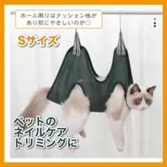 Item thumbnail for item bd136954-a6eb-49b7-94f3-f94467e4f831