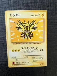 フェン様専用：サンダー_ANA 「みんなにうれしいキャンペーン」 PROMO