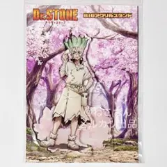 《新品未開封》Dr.STONE 石神千空 描き下ろし 桜 BIGアクスタ