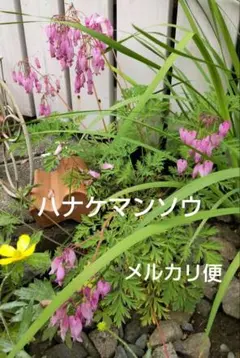 equality様 リクエスト 3点 まとめ商品