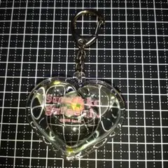 すみっコぐらし　とかげ ハート型ドームキーホルダー