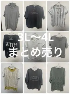 大きいサイズ 18点セット レディース 3L 4L まとめ売り 春 夏 半袖