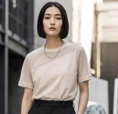 ADAM ET ROPEアダムエロペ　シアーカットソー シアーTシャツ　ベージュ