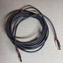 LINDY USB 3.0 ケーブル A-Bタイプ5メートルのサムネイル