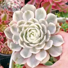 hikaru様 リクエスト速達 3点 まとめ商品