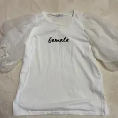 チュール袖 半袖シンプルTシャツ 4日間限定価格