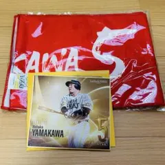 ソフトバンクホークス　開幕グッズ　トレーディングミニ色紙　山川穂高