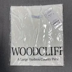 新品⭐︎ベーセーストックB.C STOCKピグメントロゴTシャツのサムネイル
