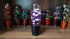 Item thumbnail for item 74e6327d-1b52-4379-b17e-20767a7dc848