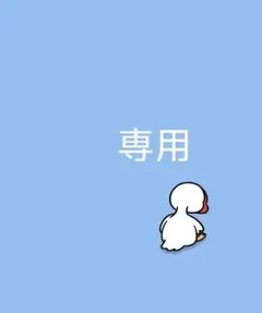 ⭐️専用