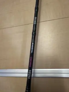 オモリグロッド　スピニング
