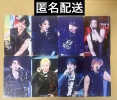 Straykids スキズ SKZ TOY WORLD タワレコ特典 トレカ